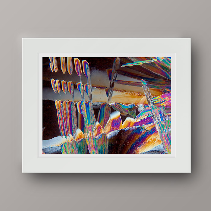 SCHISM_matt_sample4