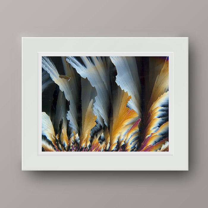AUTUMNAL_matt_sample3