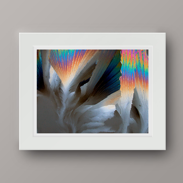 EMERGENT_matt_sample3