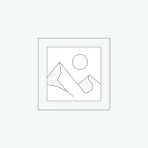 FRIZION PRINTS